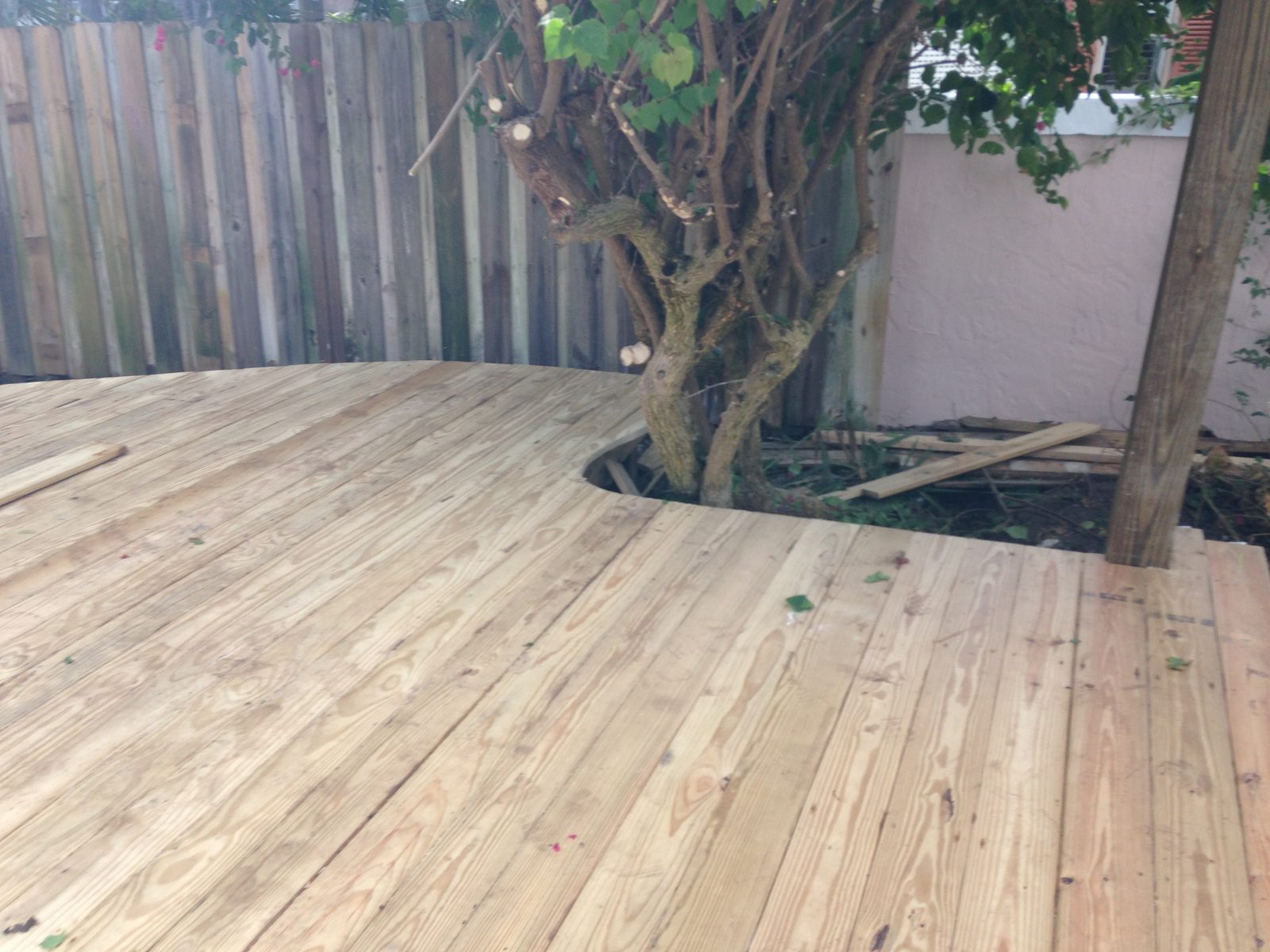 Finished wood deck scribed around a mature tree in a fenced backyard